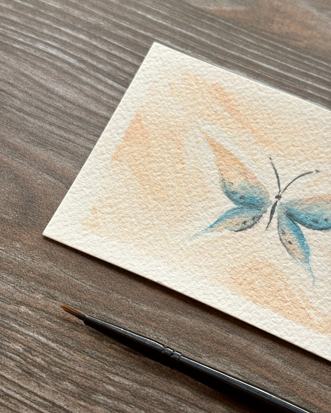 Mariposa Brillante