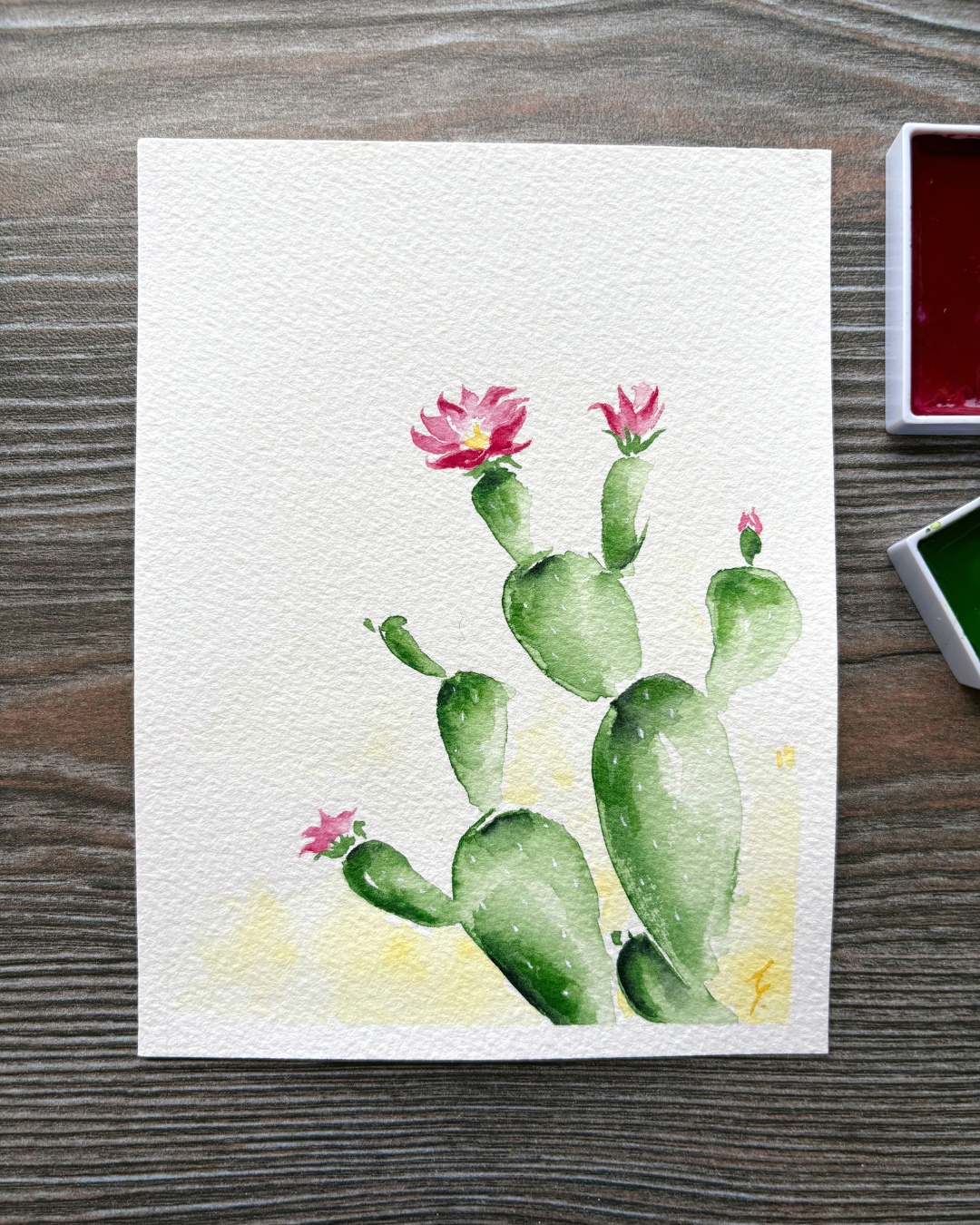 Flores del Desierto