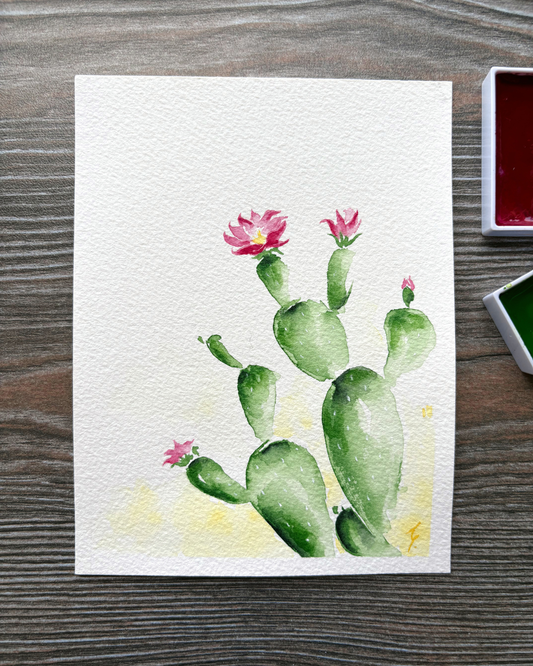 Flores del Desierto