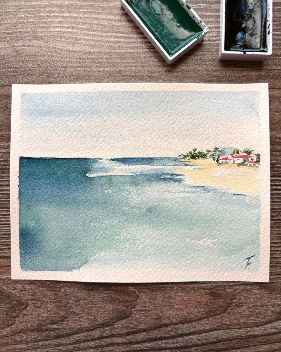 Recuerdos de Playa