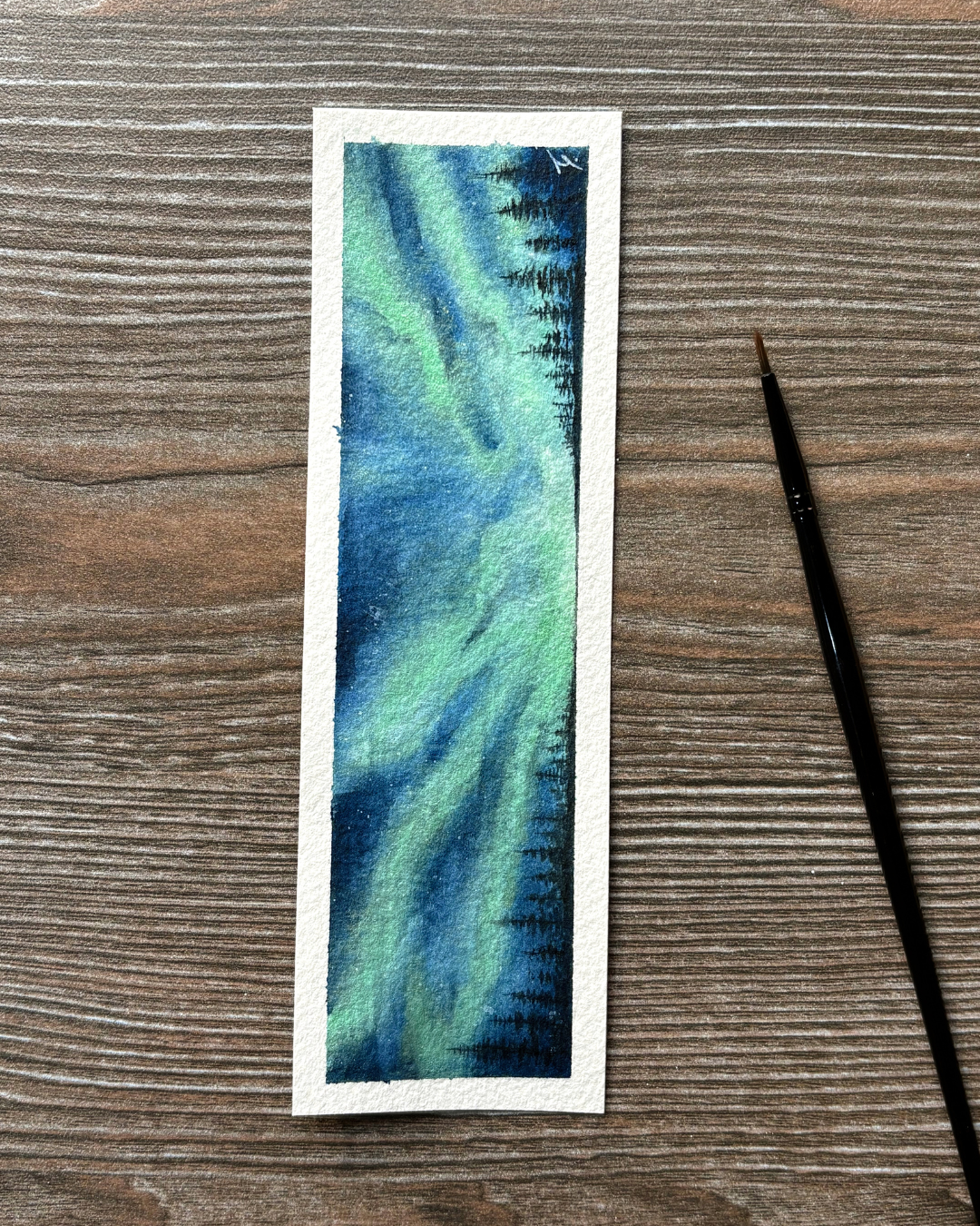Aurora Boreal