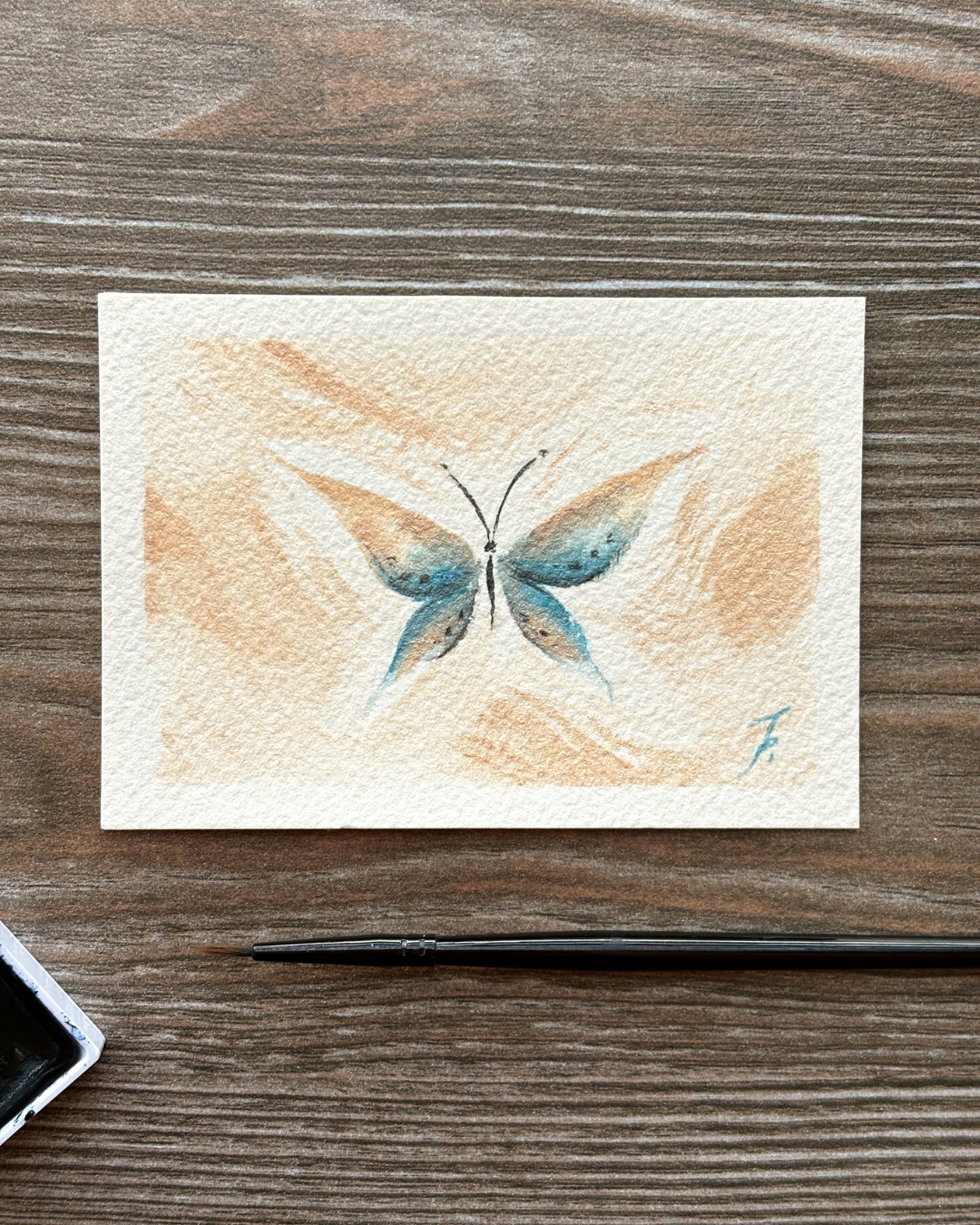 Mariposa Brillante