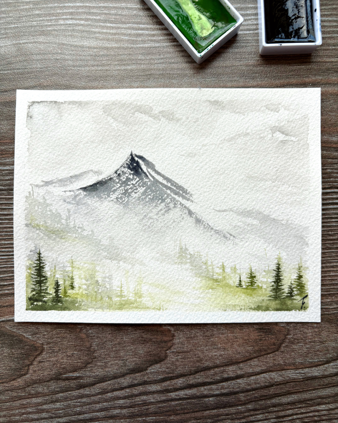 Bruma de Montaña