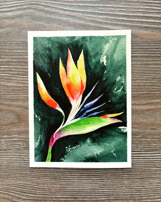 Ave del Paraíso (Print)