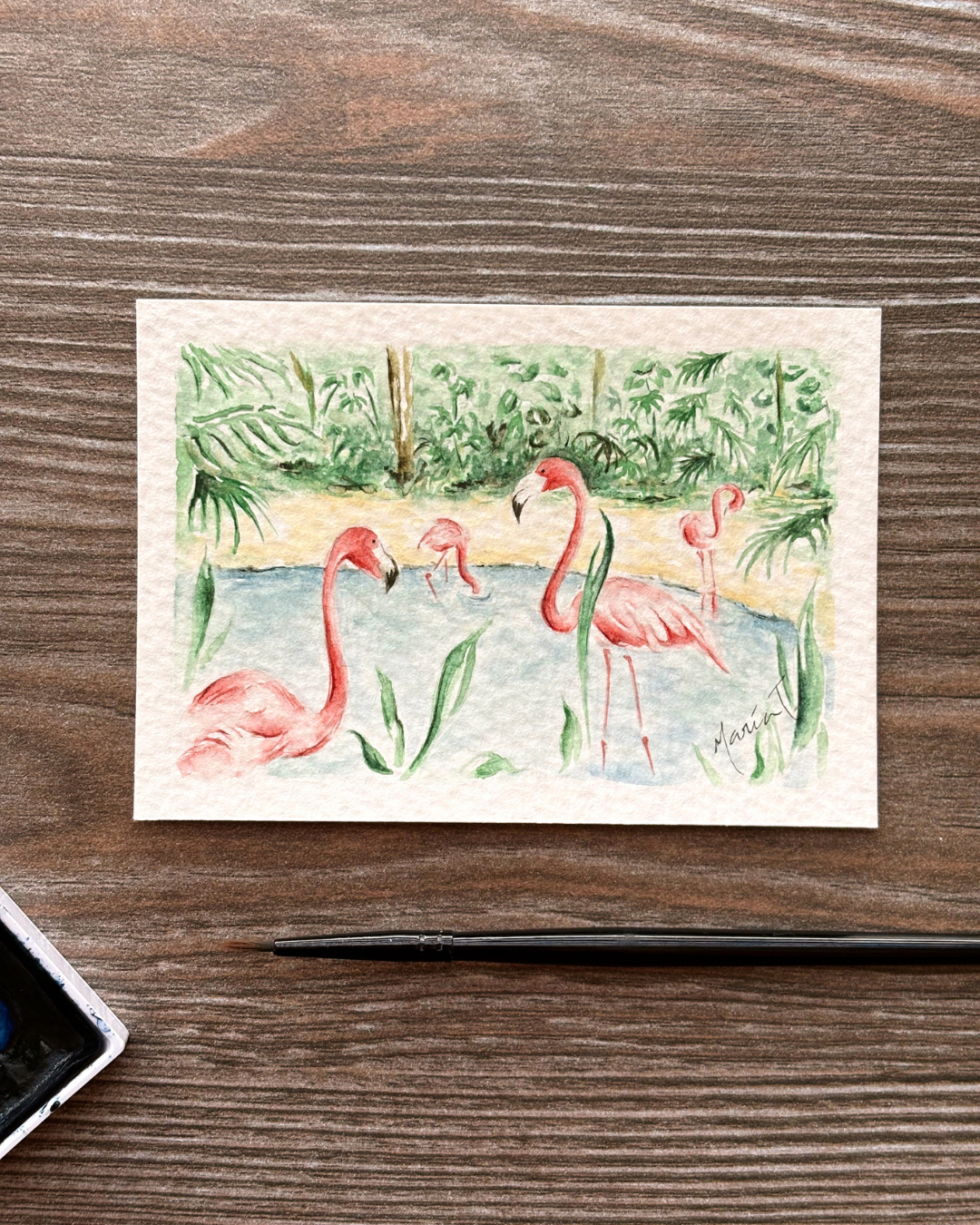 Flamingos Libres