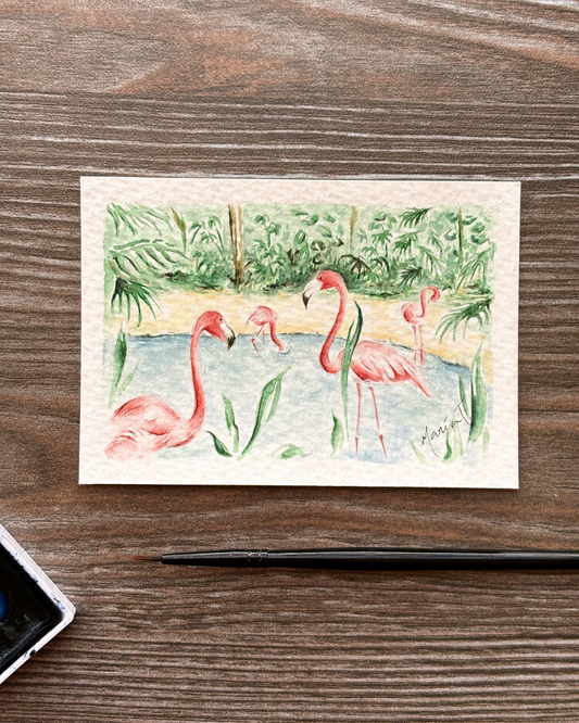 Flamingos Libres