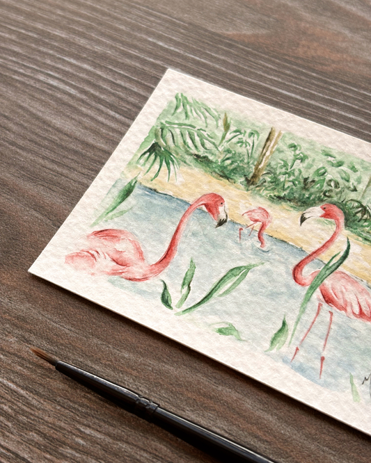 Flamingos Libres