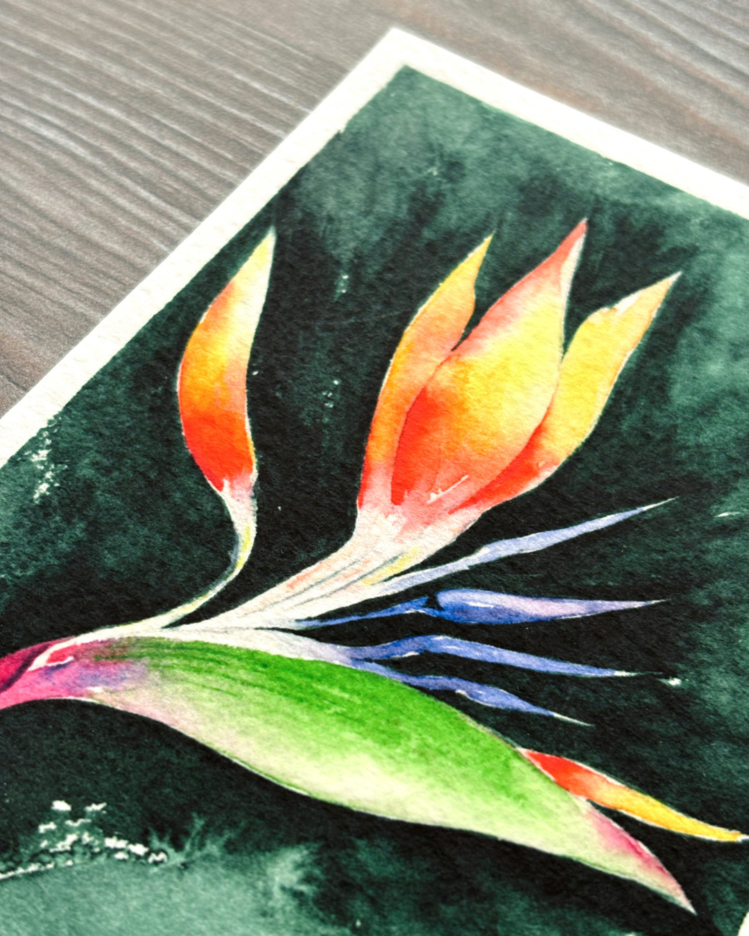 Ave del Paraíso (Print)