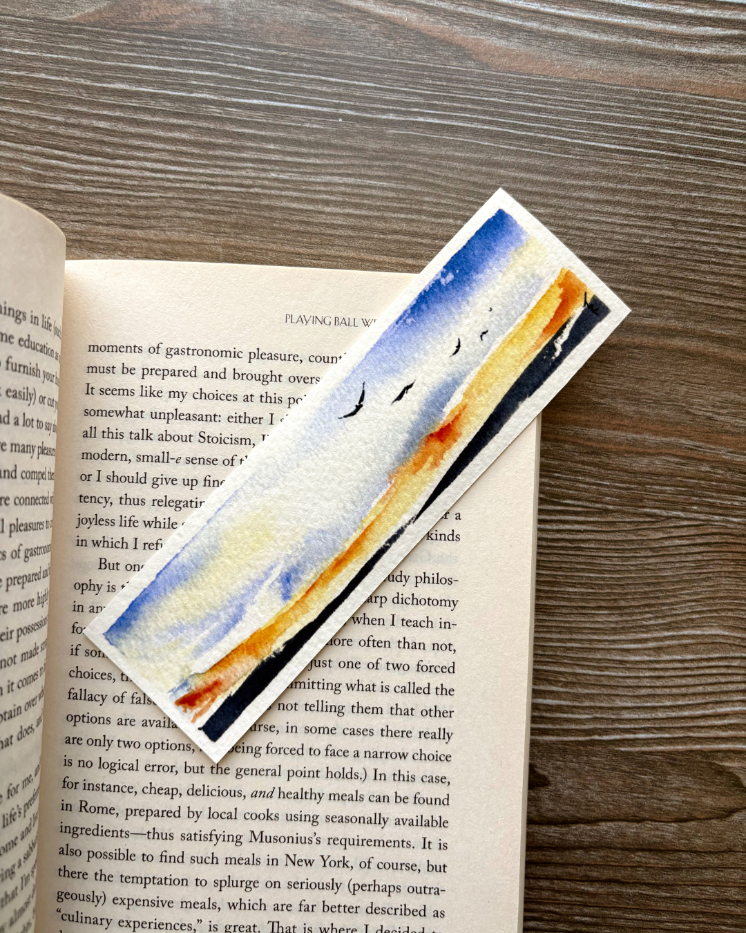 Vuelo al Atardecer (Print)